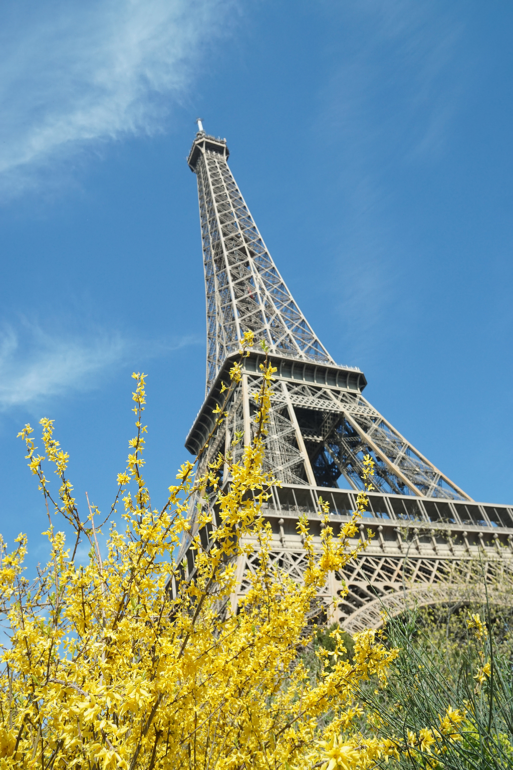 Tháp Eiffel trở thành tượng đài được trả tiền nhiều nhất trên thế giới.