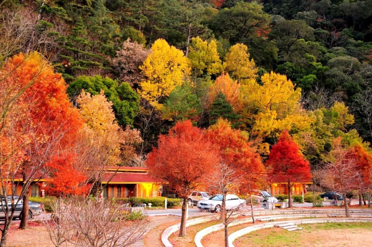 Trang trại Wuling thu hút rất nhiều du khách tới ngắm mùa thu mỗi năm