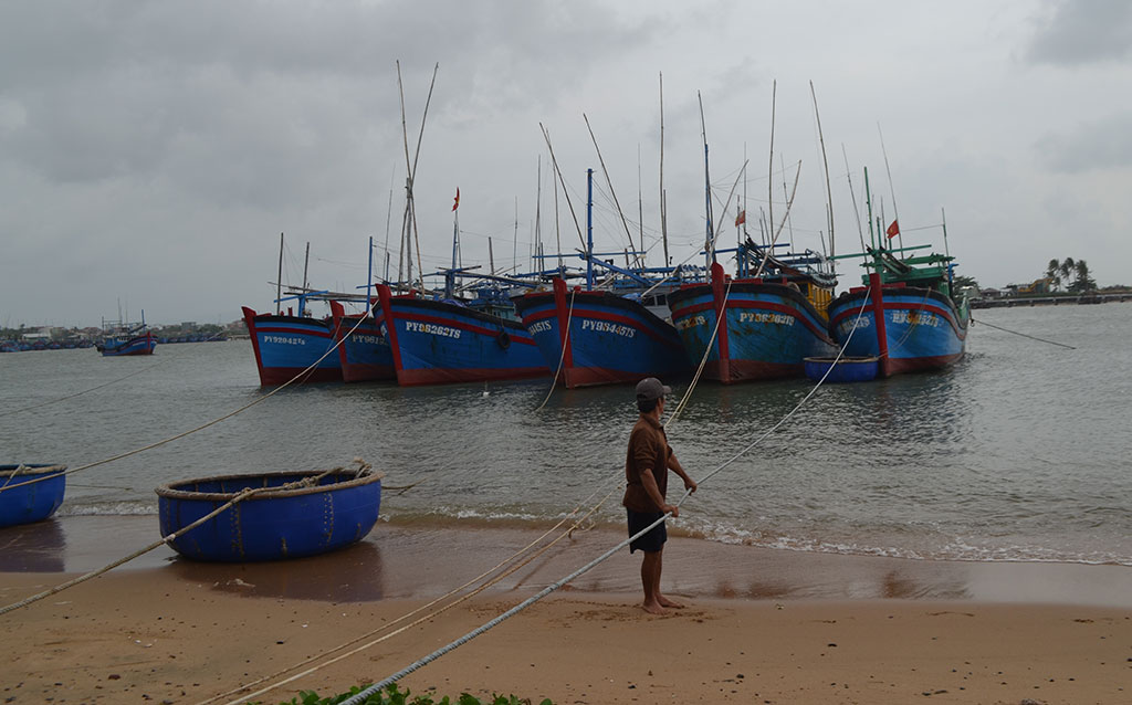 Ngư dân Phú Yên neo đậu tàu cá ở vùng an toàn, tránh bão ẢNH: ĐỨC HUY