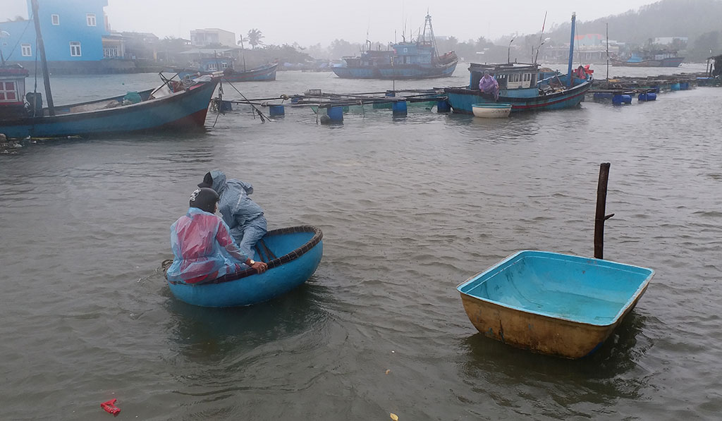 Ngư dân Quảng Ngãi từ các tàu cá, lồng bè nuôi thủy sản đang  Ảnh: Phạm Anhtrên đường vào bờ tránh bão 