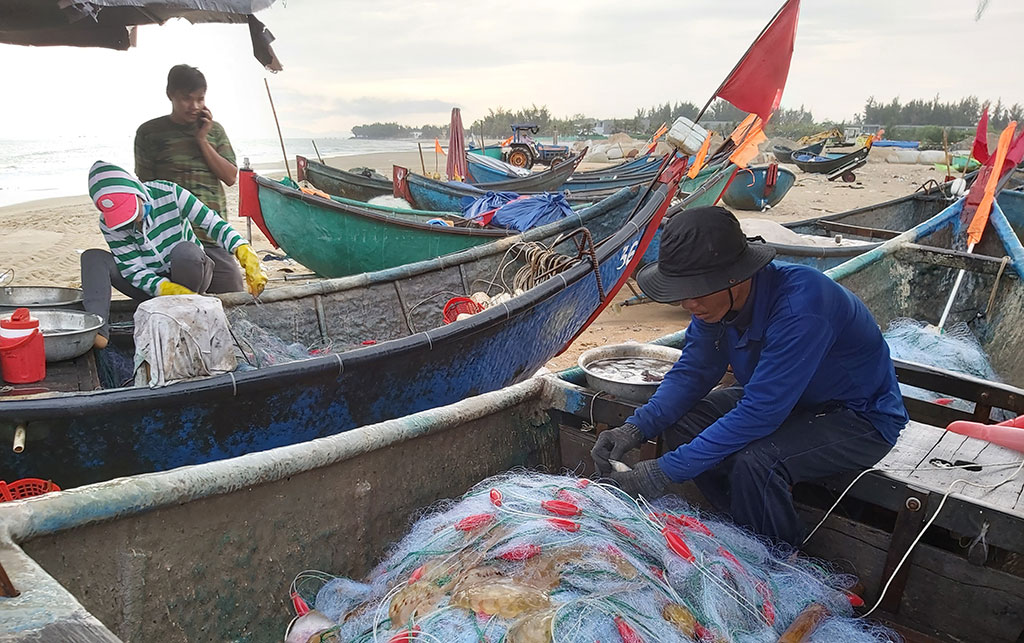 Ngư dân Phước Thuận gỡ lưới sau chuyến biển