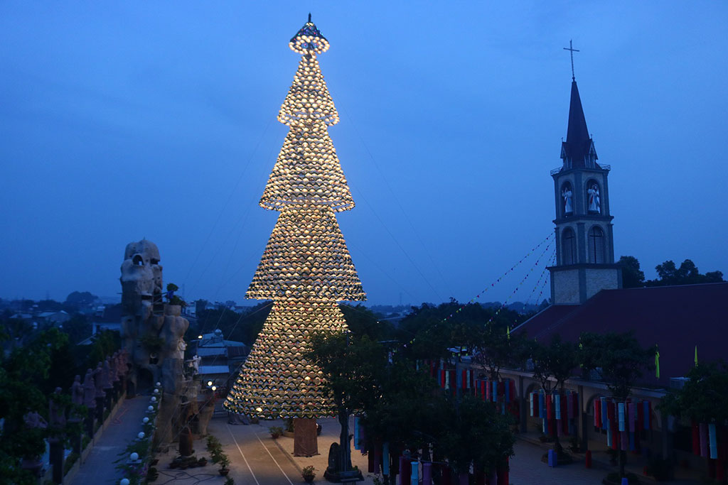 Cây thông cao tương đương tháp chuông của nhà thờ, tỏa sáng một khu vực rộng lớn. ẢNH: Cảnh An