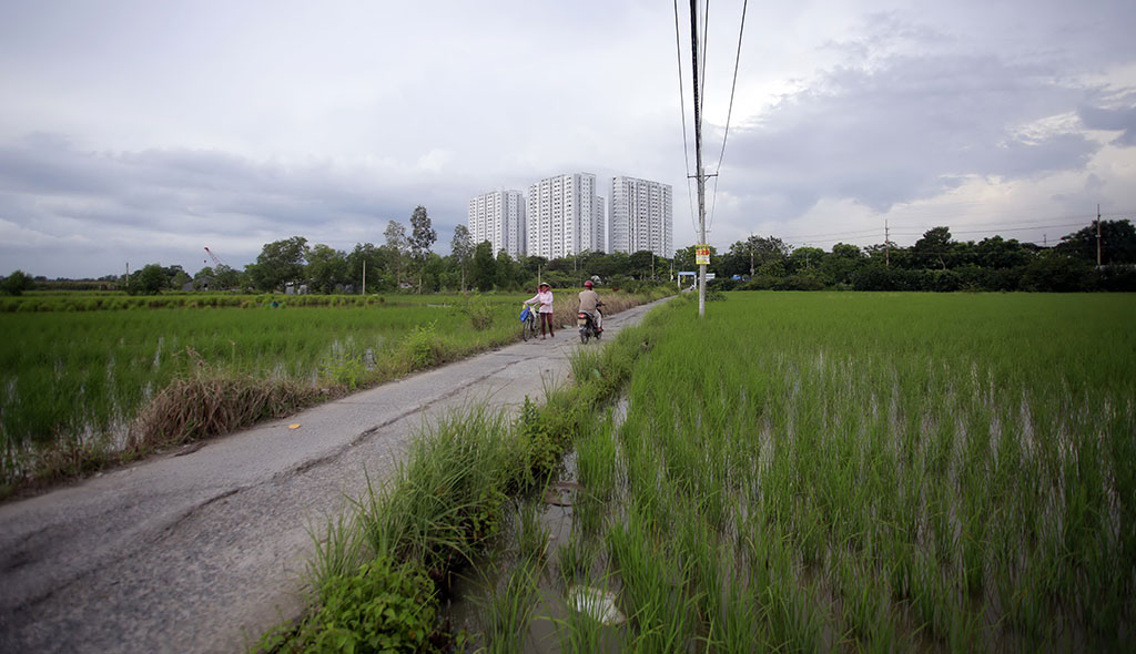 Đất nông nghiệp hai bên đường Nguyễn Văn Linh (H.Bình Chánh, TP.HCM) ẢNH: NGỌC DƯƠNG