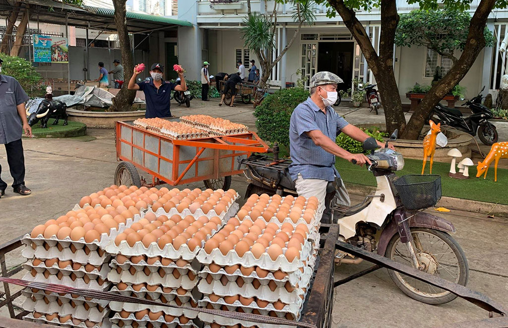 Trứng được chở đến tận nhà phát cho người dân