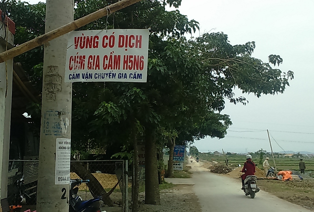 nghe-an-xuat-hien-vi-rut-cum-H-5-N-6-tren-dan-ga