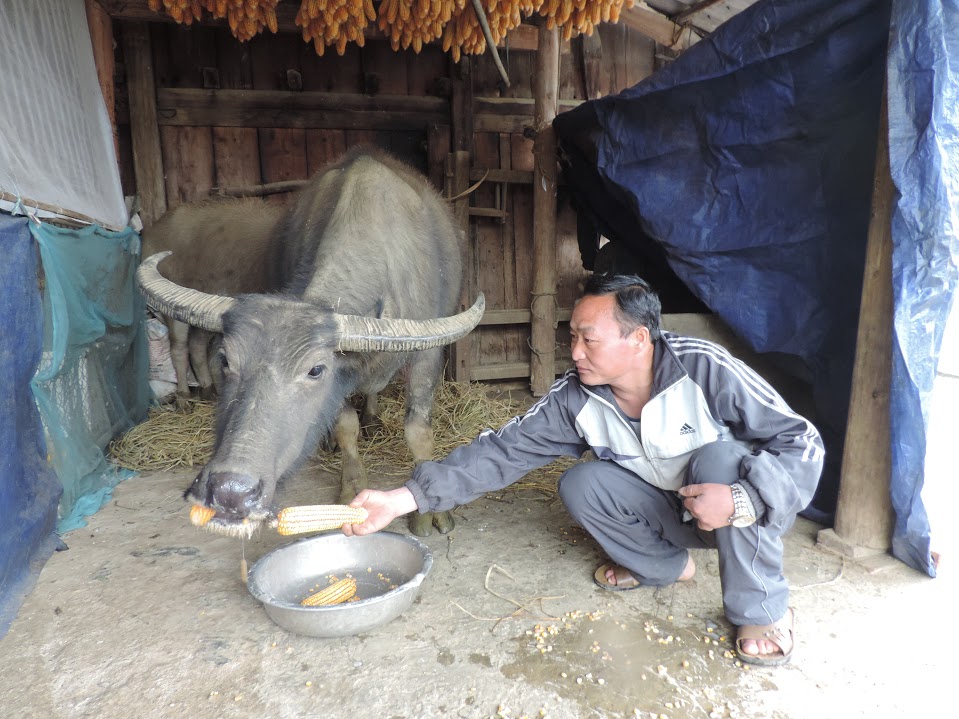 tuyet-roi-o-lao-cai