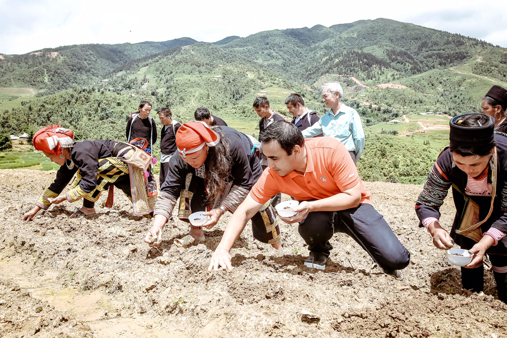 MC Quyền Linh cùng bà con ở xã Sa Pả, huyện Sa Pa gieo hạt trồng actiso