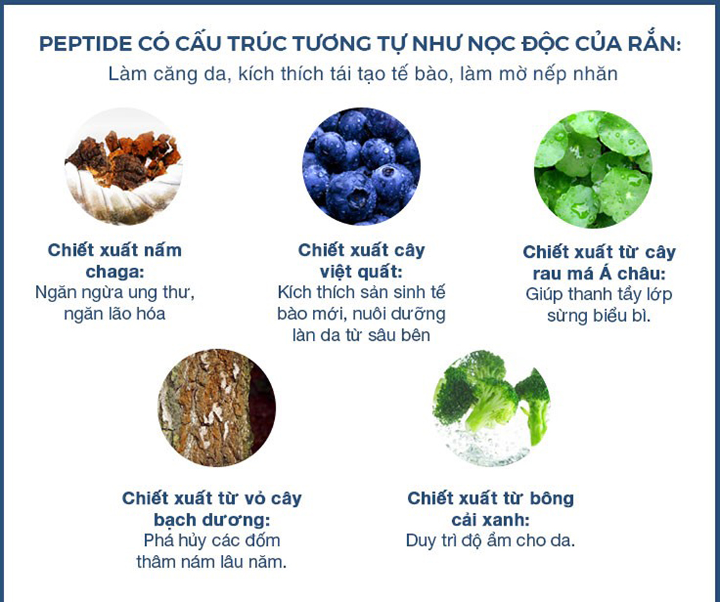 Thành phần đặc biệt chứa trong kem dưỡng Crotena