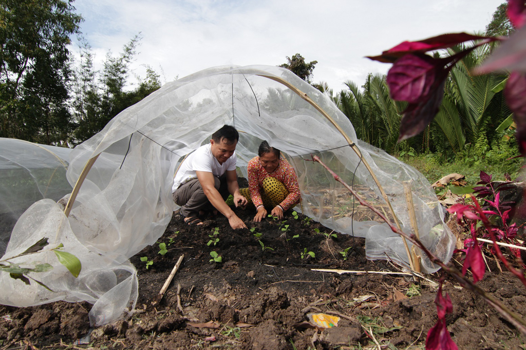 Tình nguyện viên Bayer Việt Nam hướng dẫn bà Lê Thị Kha cách trồng rau trong nhà lưới mái vòm