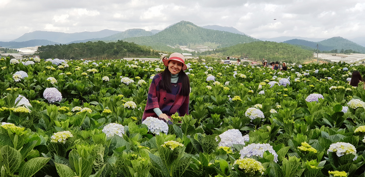 Du lịch canh nông - giải pháp tất yếu để nông nghiệp phát triển bền vững 