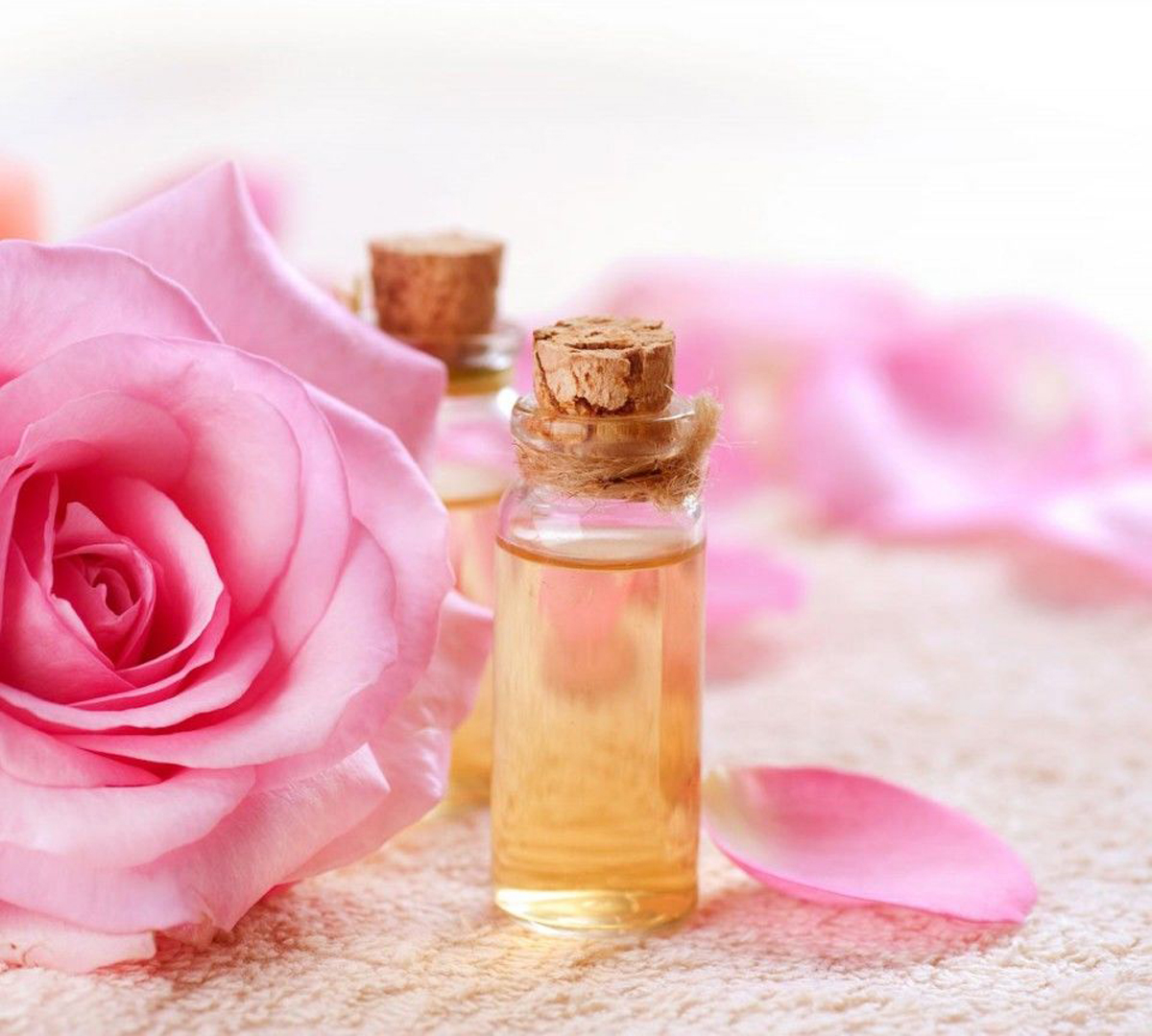 Hoa hồng kết hợp tinh dầu mật ong