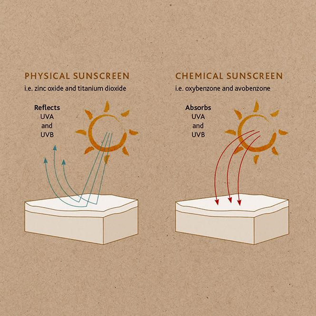 Kem chống nắng vật lý và kem chống nắng hóa học