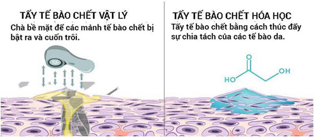 Cơ chế tẩy tế bào chết hóa học và cơ học (vật lý)