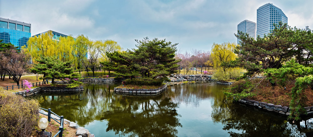 Mùa thu là thời điểm thích hợp để đi ngắm mùa cây phong thay lá tại Hàn Quốc
