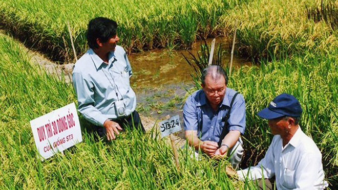 GS Võ Tòng Xuân hướng dẫn người nông dân trồng lúa