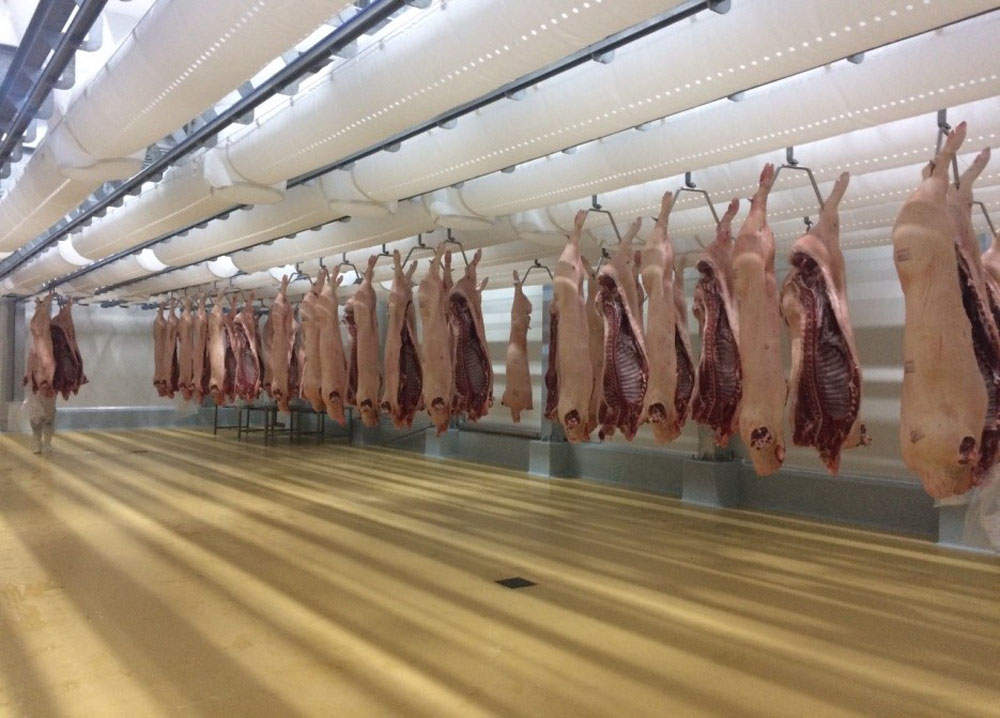 Hình ảnh heo treo tại phòng cân bằng tại nhà máy chế biến thịt MEAT Hà Nam
