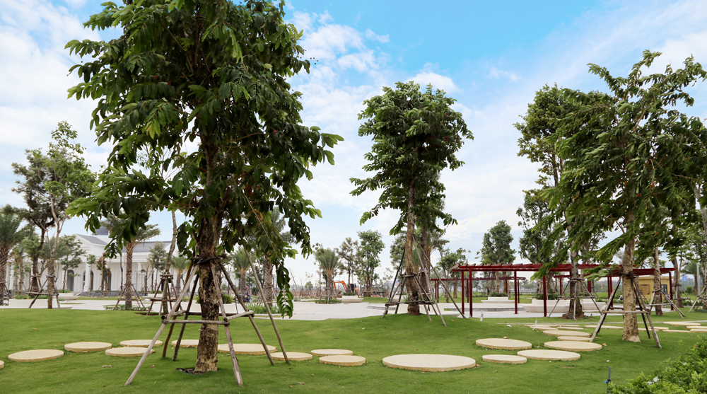 Mảng xanh, không gian cộng đồng luôn được chú trọng tại Him Lam Green Park