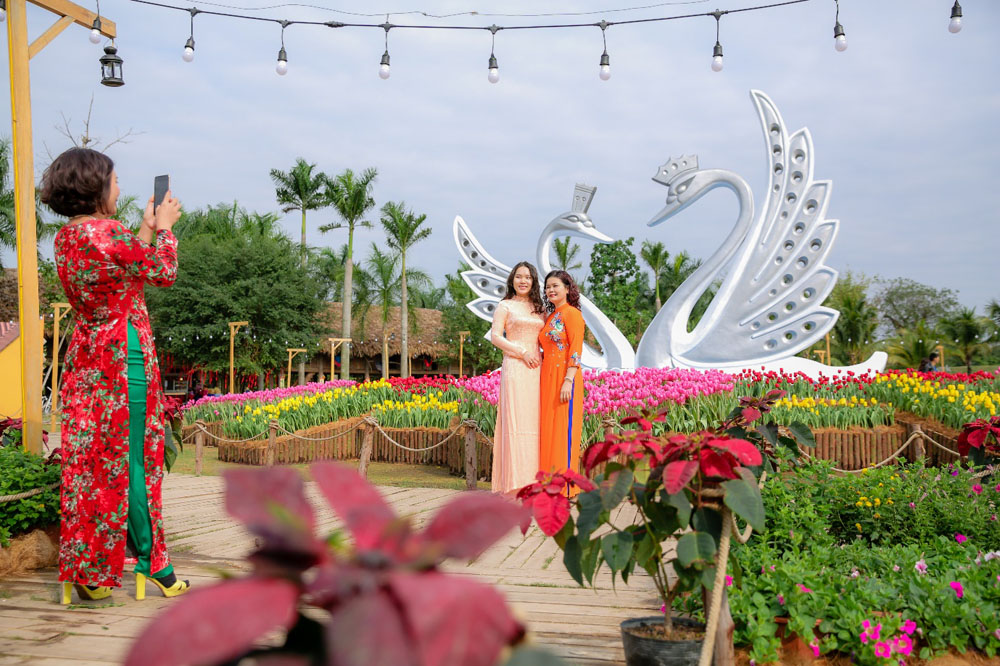 Đôi thiên nga được đặt giữa hàng vạn bông hoa tuylip là địa điểm chụp ảnh không thể thiếu khi đến Lễ hội tết Ecopark 2020