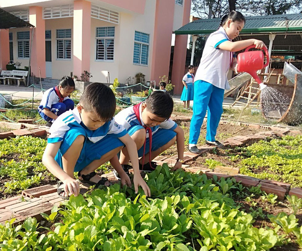 Các em học sinh Trường tiểu học Trần Quốc Toản - An Giang chăm sóc vườn rau xanh tại trường