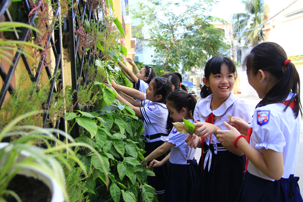Những mảng xanh đang ngày càng lan rộng tại nhiều trường tiểu học khắp cả nước