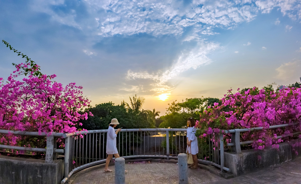 Những mùa hoa gây thương nhớ tại Ecopark