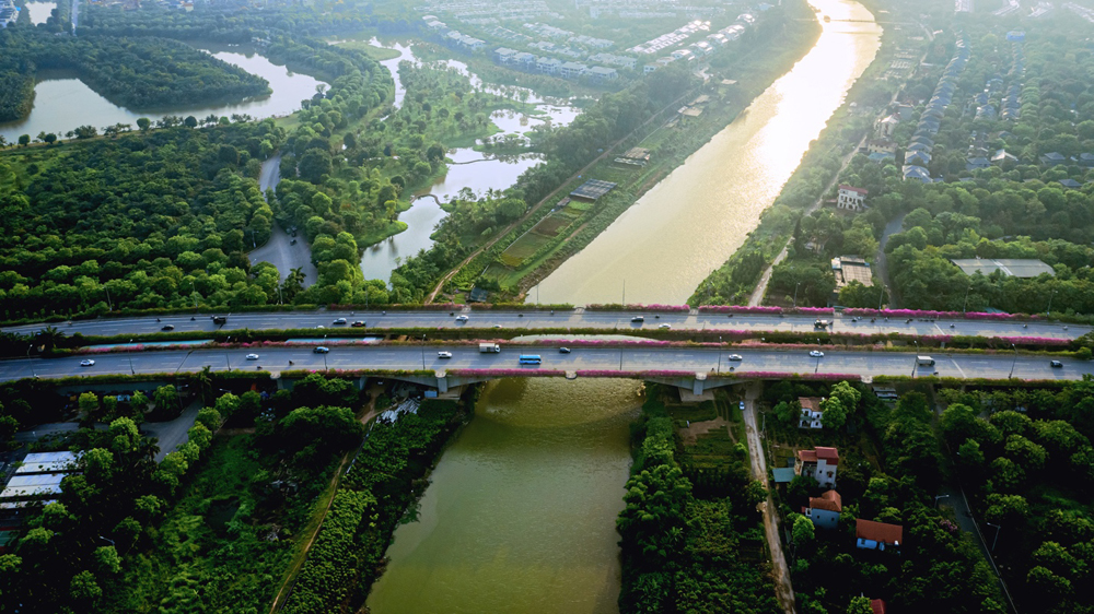 Cầu hoa giấy vắt ngang qua dòng sông Bắc Hưng Hải