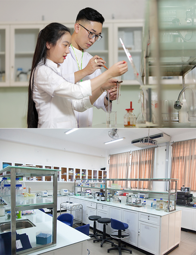 Các thiết bị hiện đại tại Trung tâm Sinh học Phân tử ĐH Duy Tân hỗ trợ đào tạo ngành Công nghệ Sinh học