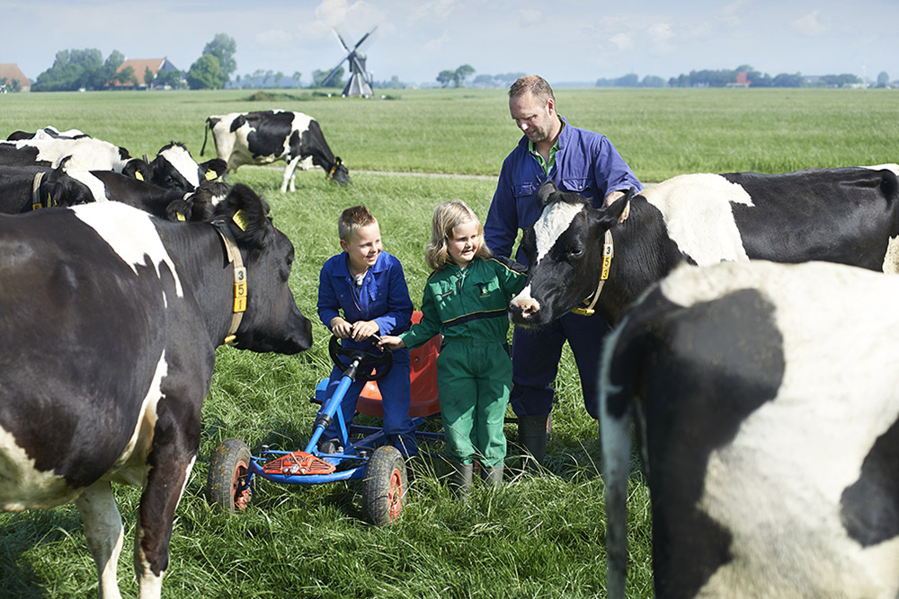 Đại gia đình nông dân tại Hà Lan là cộng đồng chăn nuôi bò sữa lớn bậc nhất thế giới, với gần 18.000 thành viên, cung cấp 10 tỉ kg sữa mỗi năm (số liệu năm 2019)