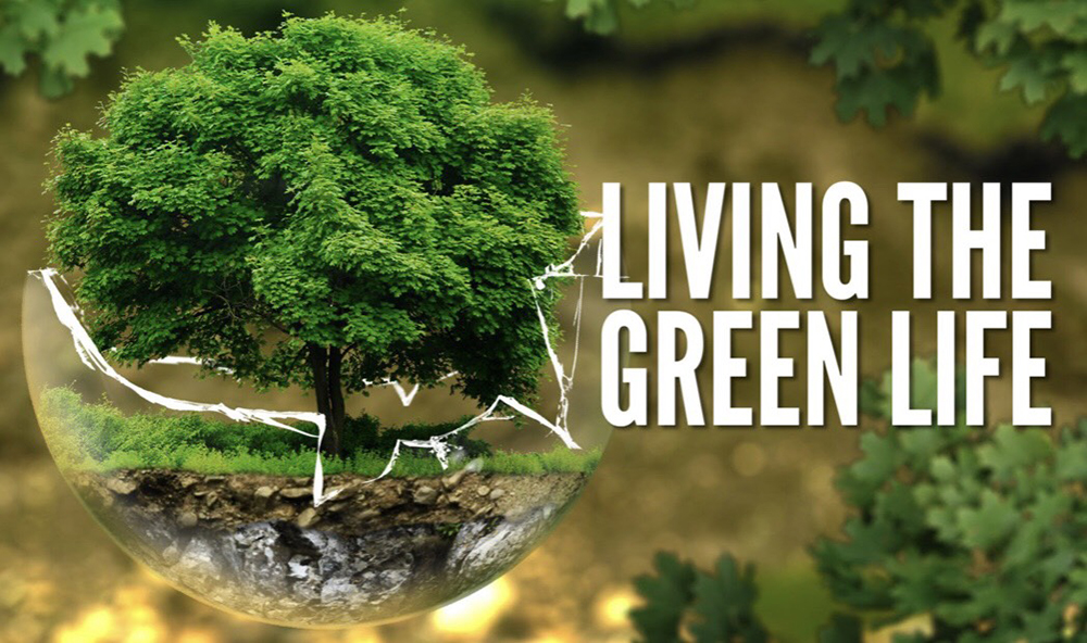 Trước những vấn đề nghiêm trọng về môi trường, xu hướng sống xanh ngày càng lên ngôi