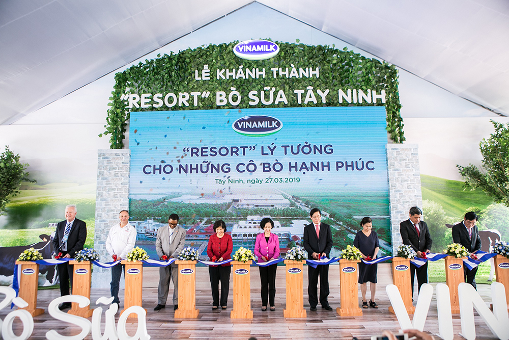 Trang trại bò sữa Vinamilk Tây Ninh được khánh thành năm 2017, là trang trại có quy mô lớn và hiện đại nhất của Vinamilk