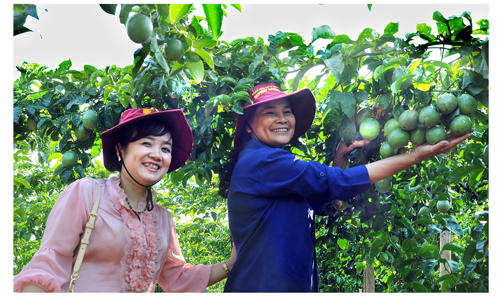 Sản xuất nông nghiệp ứng dụng công nghệ cao tại Đắk Nông
