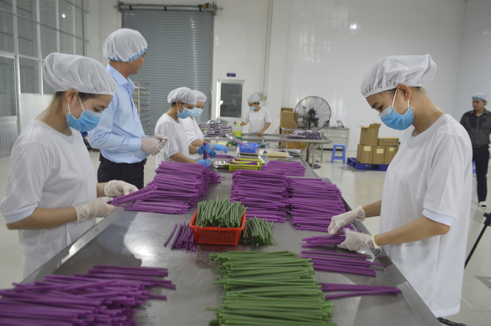 Quy trình sản xuất ống hút gạo của Công ty TNHH Hùng Hậu (KCN Sa Đéc, Đồng Tháp) 