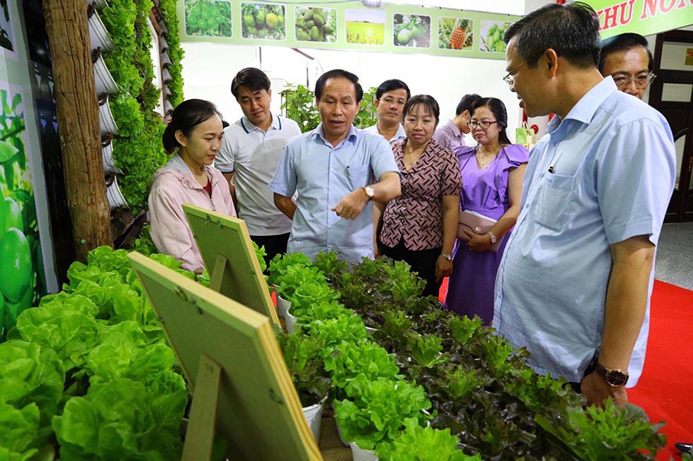 Lãnh đạo tỉnh Hậu Giang tham quan mô hình nông nghiệp sạch