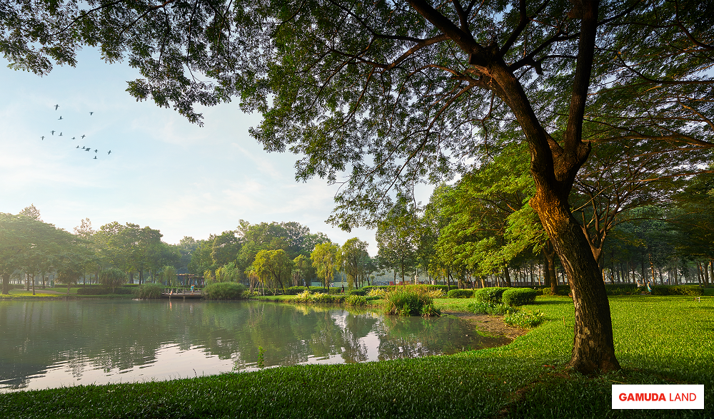 Tự hào là mảng xanh lớn nhất khu tây Sài Thành, cư dân Diamond Centery có thể tận hưởng kỳ nghỉ bất tận ngay tại chính ngôi nhà của mình