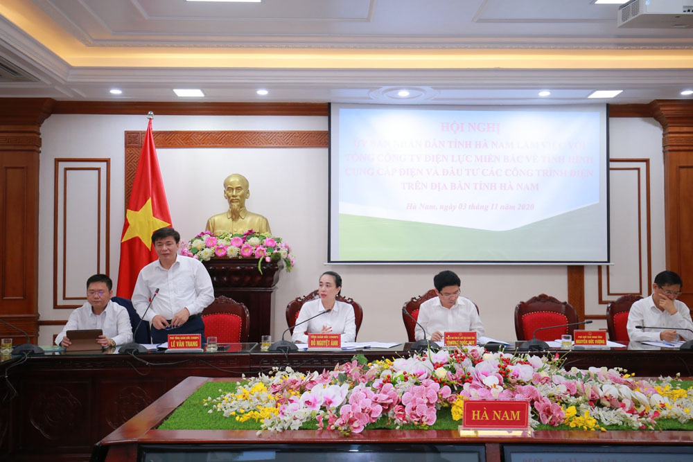 Bà Đỗ Nguyệt Ánh - thành viên HĐTV, Tổng giám đốc EVNNPC phát biểu