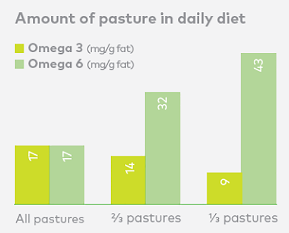 So sánh sự cân bằng omega 3 và omega 6 trong 1g sữa vắt từ bò được ăn hoàn toàn cỏ tươi, 2/3 cỏ tươi và 1/3 cỏ tươi. Tỷ lệ omega 3 - omega 6 càng cân bằng càng tốt cho sức khỏe. Nguồn: nzmp.com (New Zealand Milk Product)