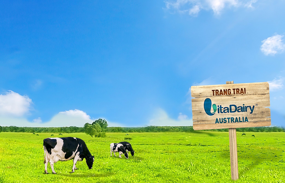 VitaDairy chọn phát triển nông trại bò sữa ở Tasmania (Úc) vì đây là một trong những vùng đất trong lành nhất thế giới