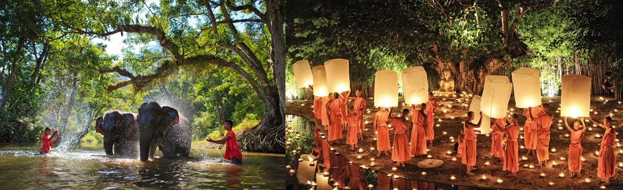 Cùng với văn hóa bản địa, xu hướng “sống lành” đã trở thành một phần đặc trưng của Chiang Mai