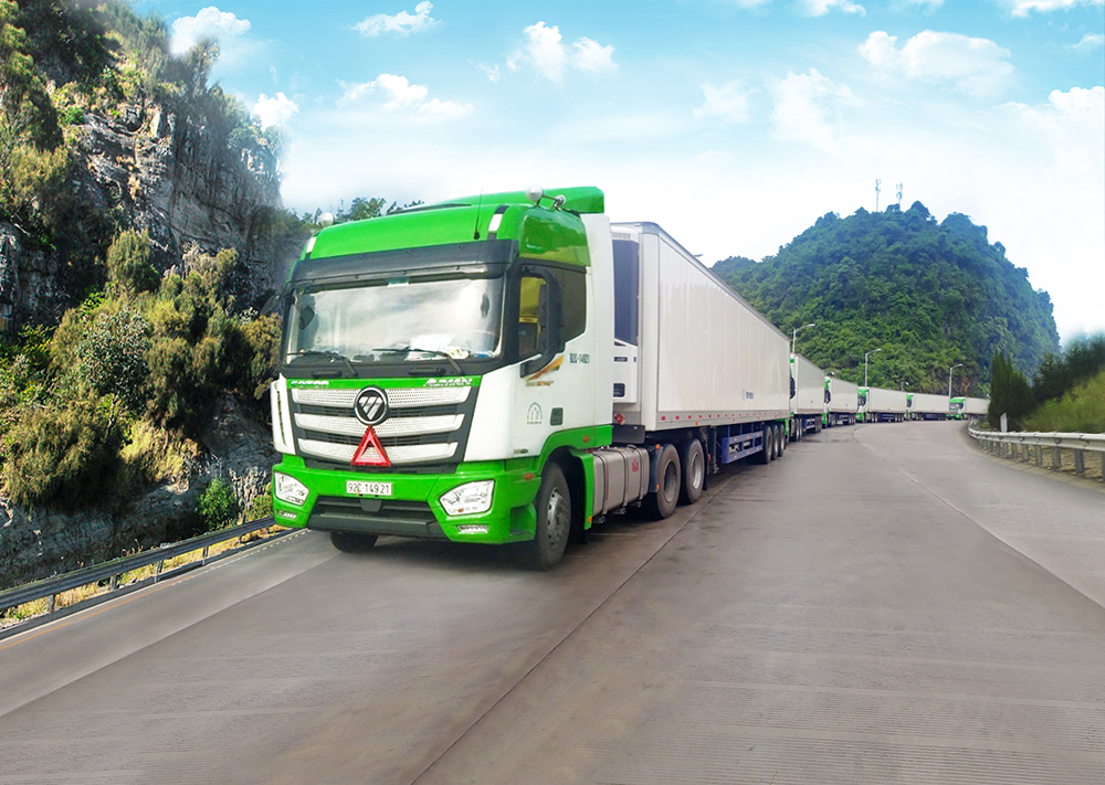 Đoàn xe vận chuyển nông sản của THILOGI. THILOGI là đối tác chiến lược cung ứng dịch vụ logistics trọn gói cho THAGRICO và HNG