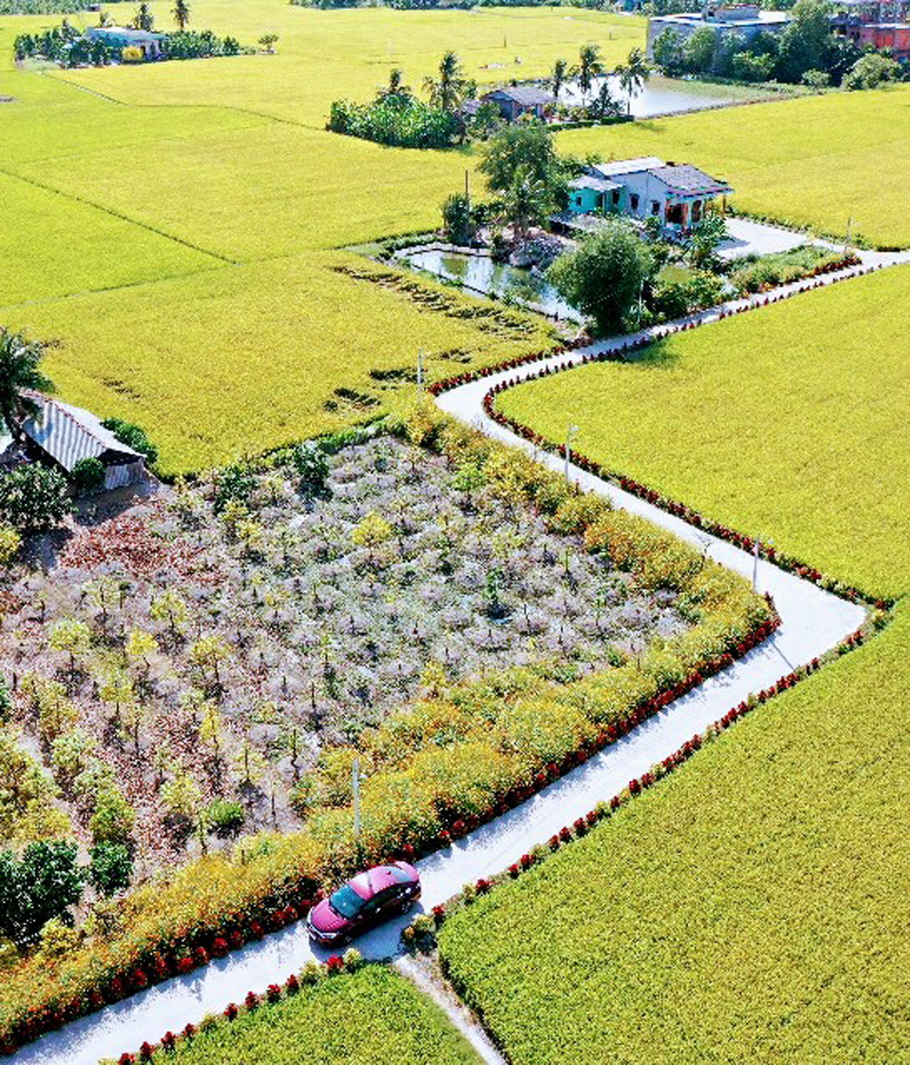 Những con đường nông thôn mới duyên dáng ở quê hương Tân Trụ