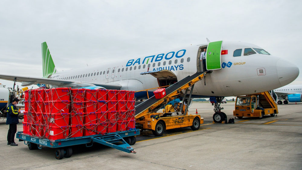 Bamboo Airways vận chuyển miễn cước 100 tấn hàng hóa y tế, nhu yếu phẩm trong 2020