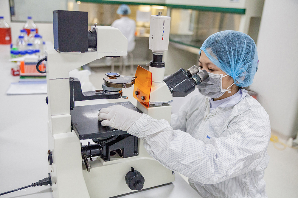 Quy trình sản xuất vắc xin Nano Covax gồm: tạo dòng tế bào tái tổ hợp, sản xuất dung dịch kháng nguyên, pha chế thành phẩm và đóng gói - Ảnh Huy Thăng