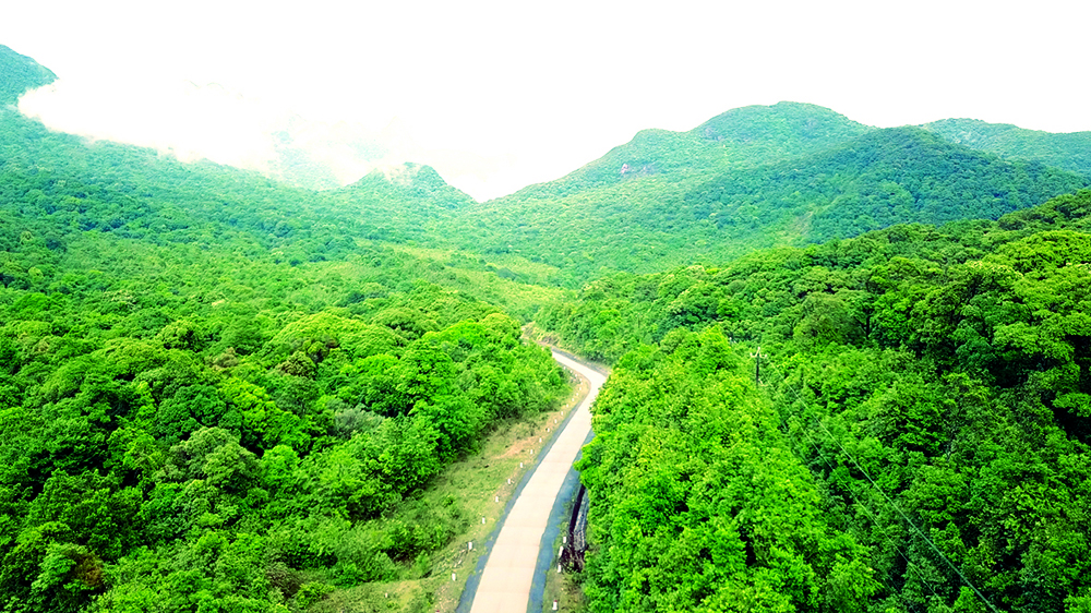 Quảng Trị hiện có độ che phủ rừng đạt 50%