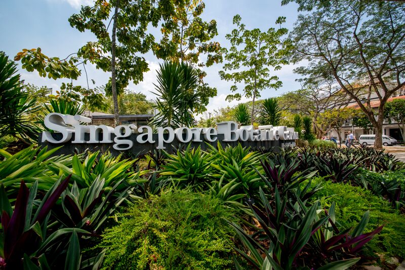 Vườn Bách thảo Singapore được Unesco vinh danh Di sản Thế Giới