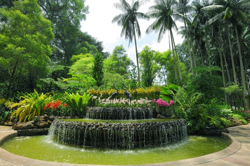 Vườn Bách thảo Singapore được Unesco vinh danh Di sản Thế Giới
