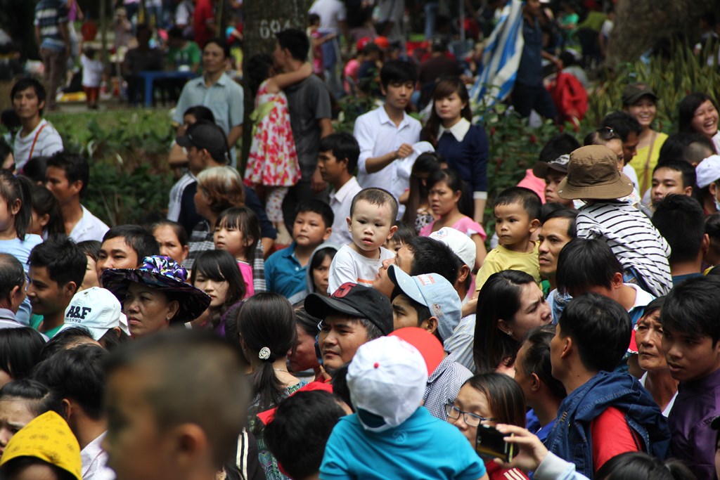 Hàng ngàn trẻ em thích thú chụp hình cùng voi tại Thảo cầm viên - Ảnh 1