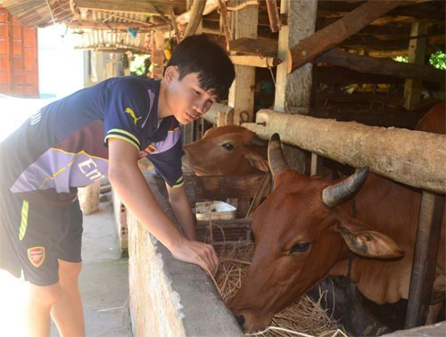 Học sinh nông thôn ngoài giờ đi học phải lao động thêm phụ giúp cha mẹ, lại không được ôn luyện bài bản nên khi thi đại học điểm của các em thường thấp hơn học sinh thành phố  - Ảnh minh họa: Hiển Cừ 