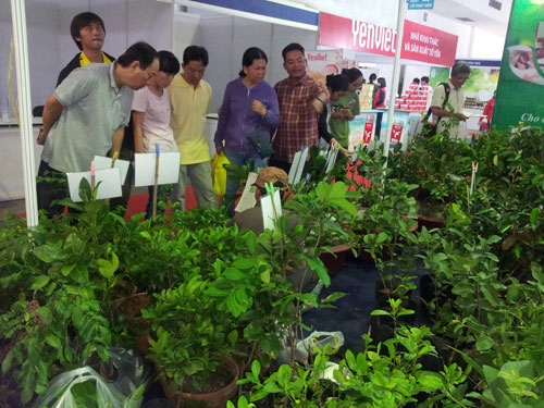 Gian hàng trưng bày Ổi của ông Nguyễn Thành Đại tại hội chợ Tân Bình thu hút nhiều khách tham quan - Ảnh: Chí Nguyễn