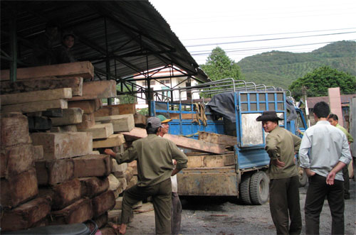 Hạt kiểm lâm Da Huoai tịch thu gỗ lậu