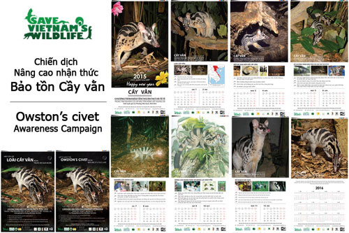 Nội dung ấn phẩm của chiến dịch nâng cao nhận thức bảo tồn cầy vằn - Ảnh do SVW cung cấp